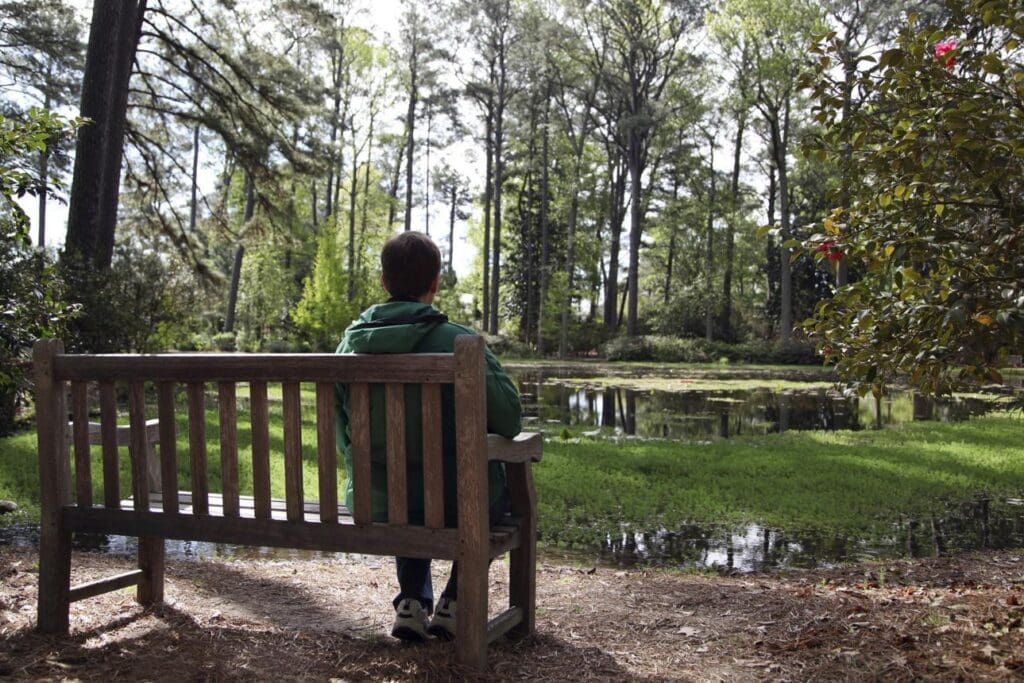 Person sitting on bench overlooking pond