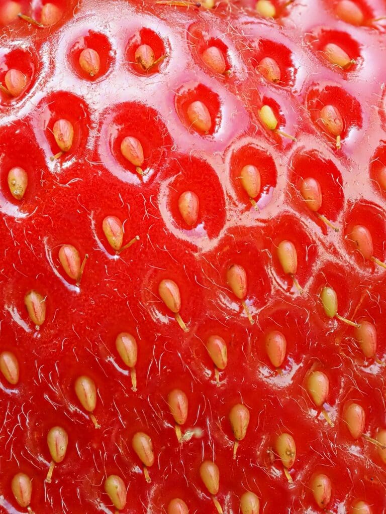 Close-up of strawberry seeds on glossy surface